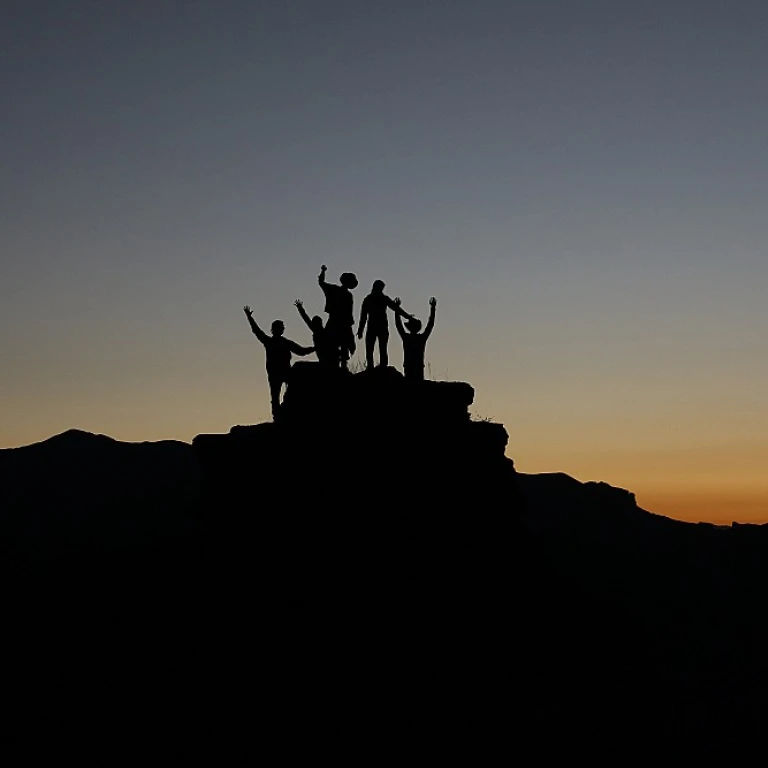 Guidance for Nonprofit Leadership Transitions