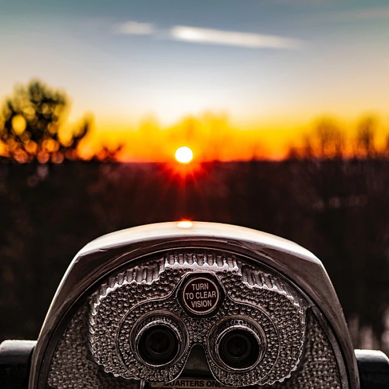 Understanding the Roles: Chair vs CEO in Succession Planning