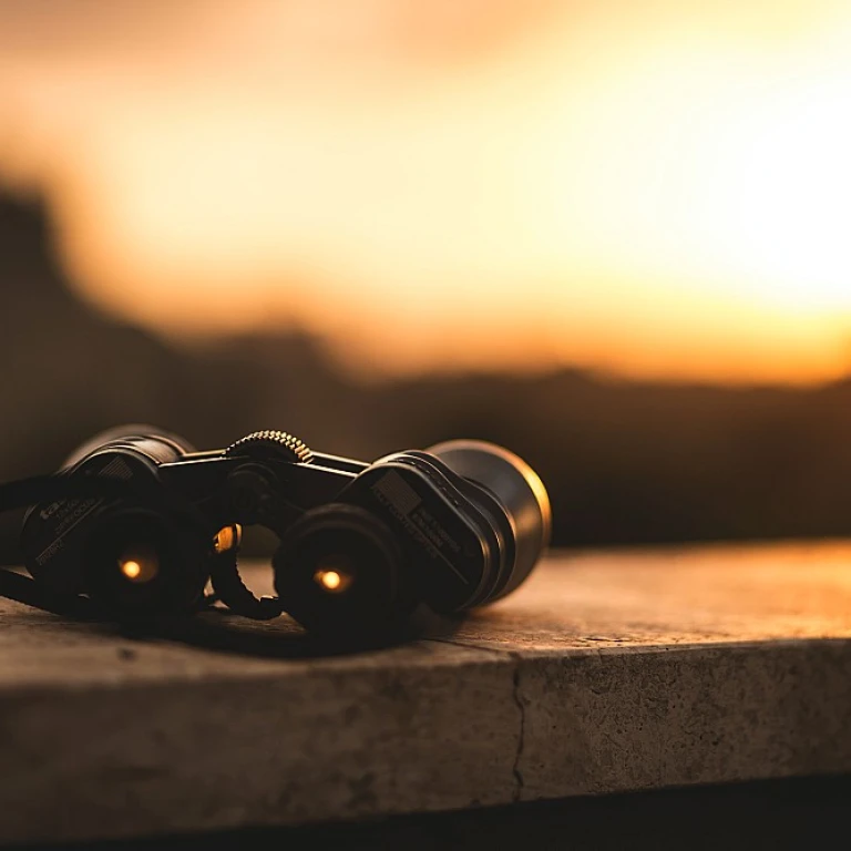 Navigating Succession Planning for the Role of Chief Audit Executive