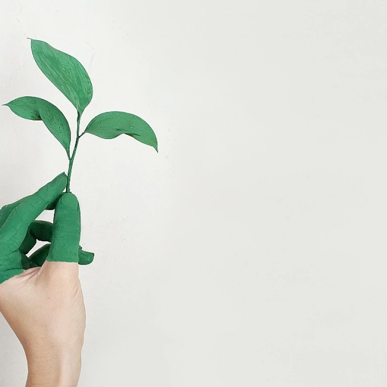 Crafting Effective Board Minutes for Succession Planning