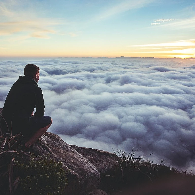 Navigating the Path to Career Stewardship