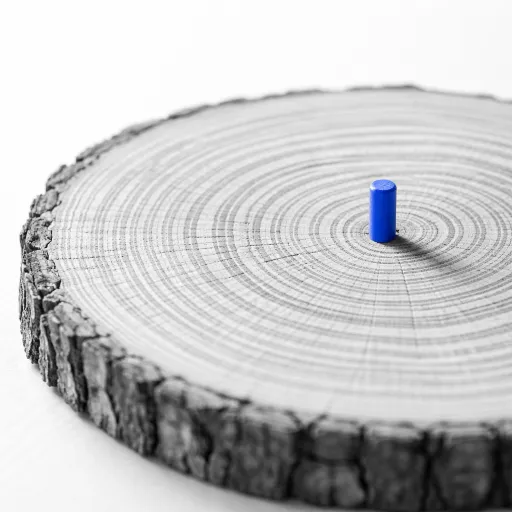 The HRBP's Guide to Running a Mentorship Program That Feeds the Succession Pipeline